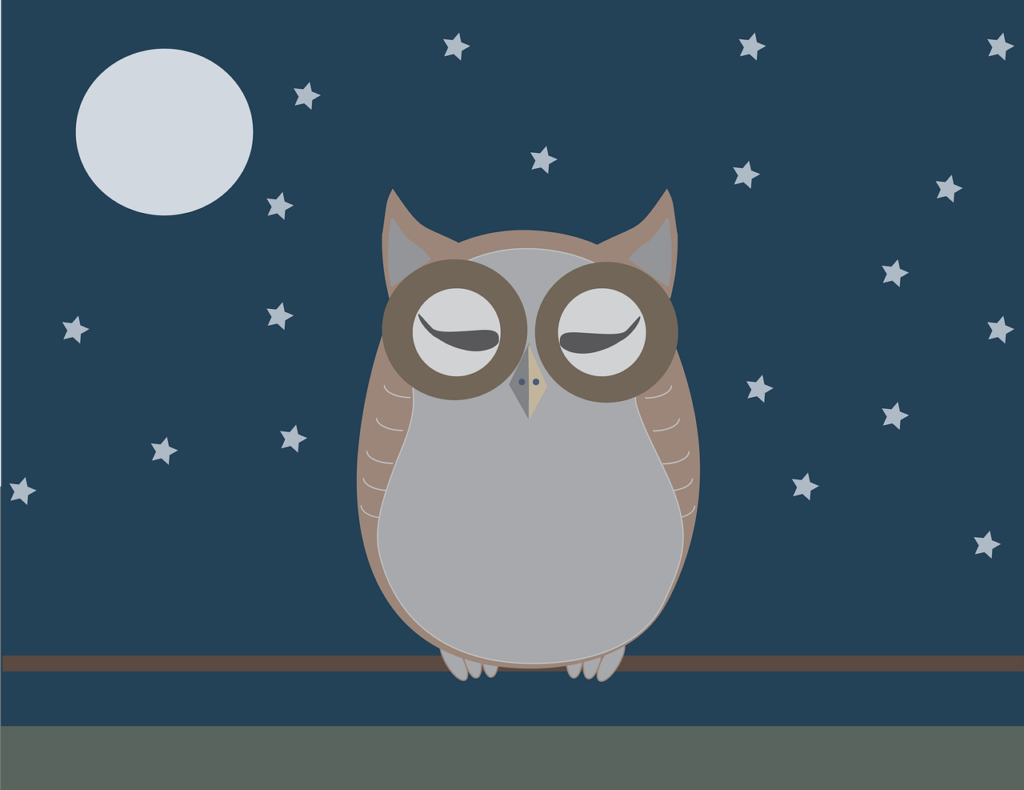 owl, baykuş, vektör-5098883.jpg